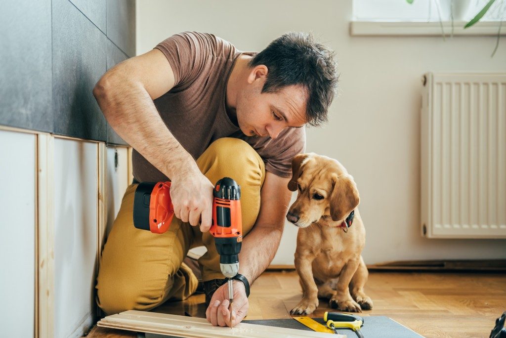 man refurnishing his home while puppy watches
