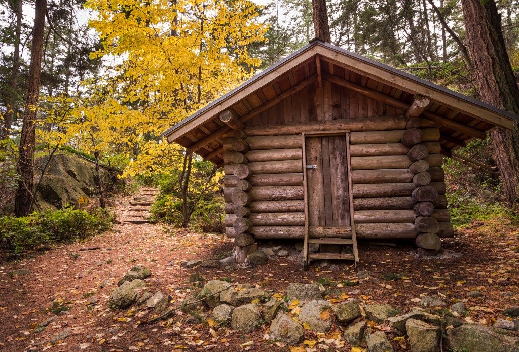 Log cabin in a forest