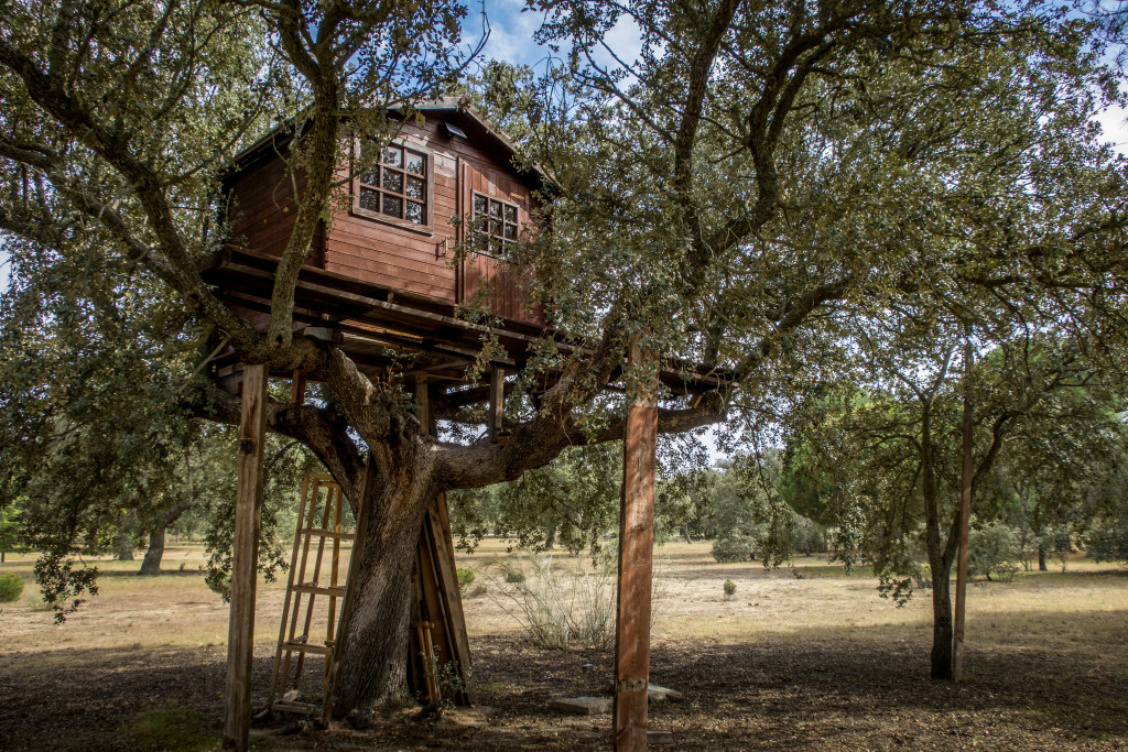 Image of a treehouse in a forest