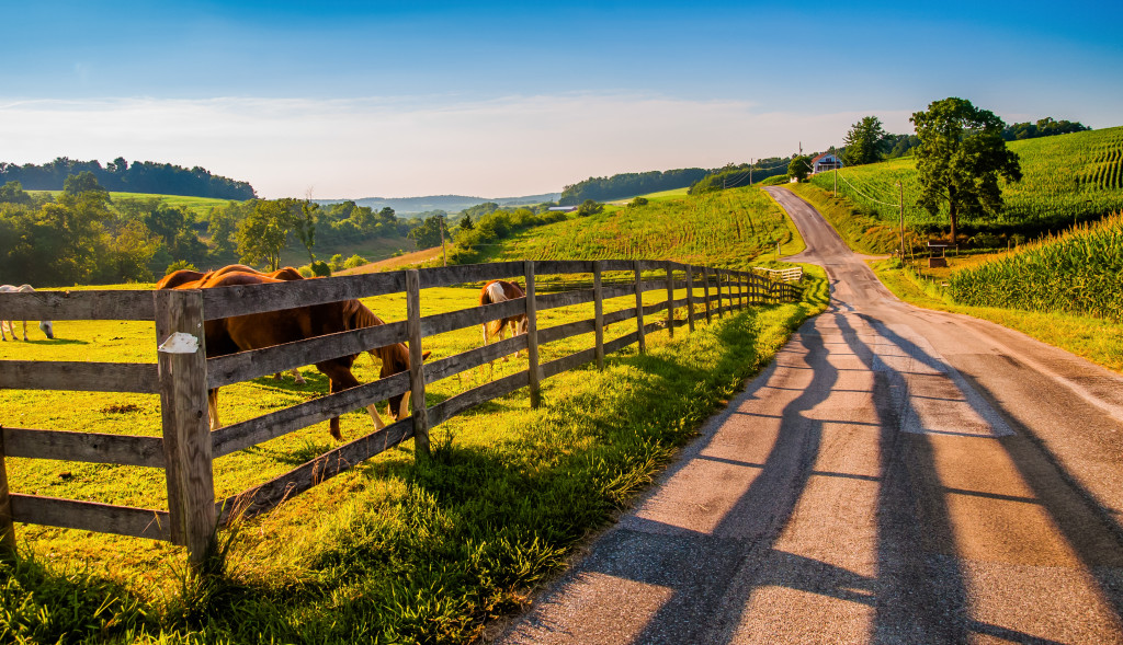 Visiting farm for vacation