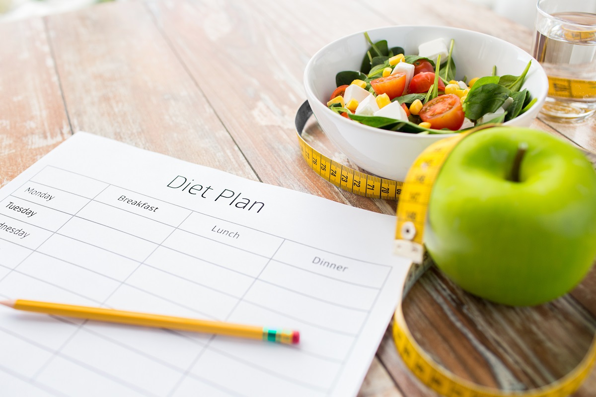 diet plan paper